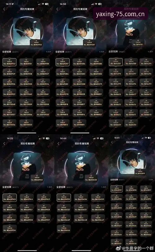 亚星娱乐75周年启航版手机版下载功能详解 资深用户解析亚星娱乐75周年启航版手机版下载功能实战经验